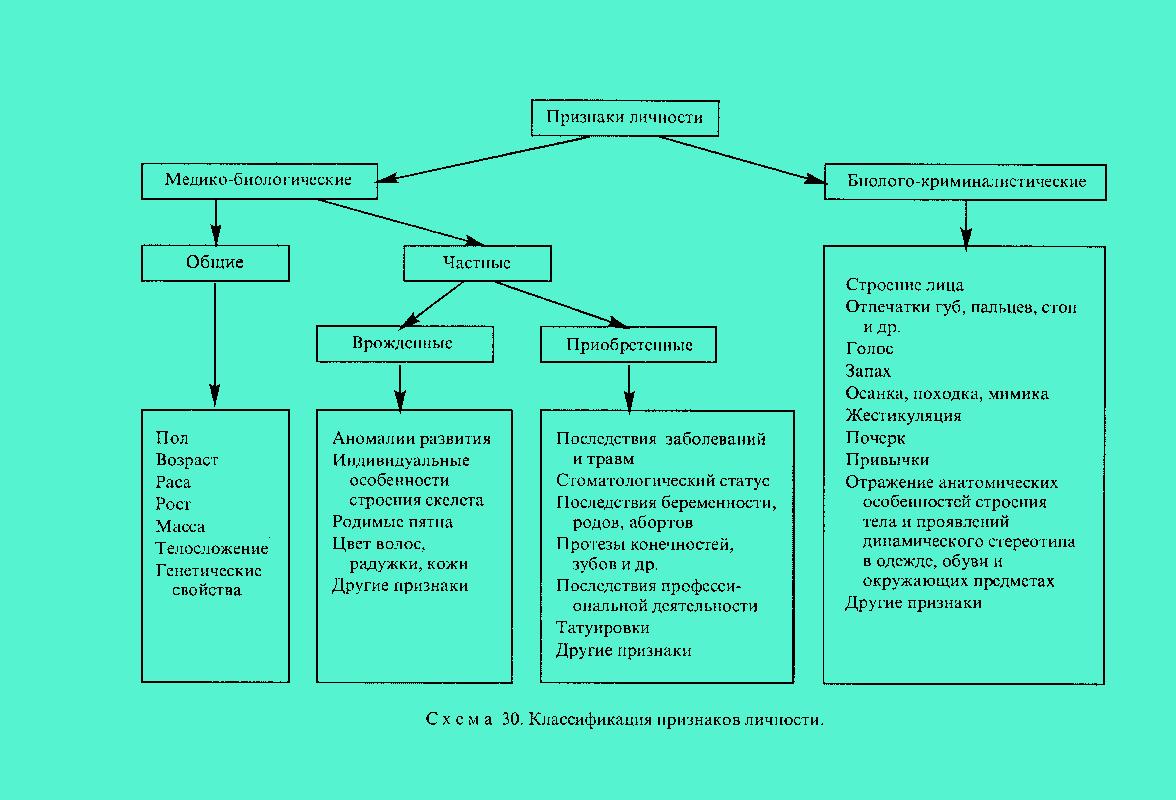 Личность признаки. Проявление личности. Классификация признаков личности. Общие признаки идентификации личности. Классификация признаков личности используемых при идентификации.