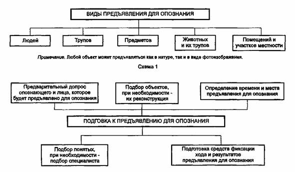 План проведения опознания