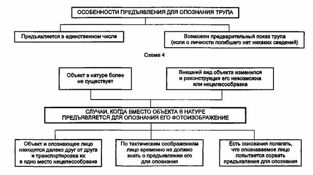 План проведения опознания человека